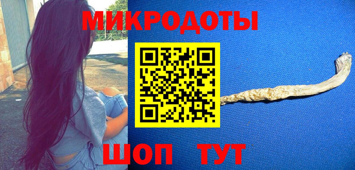 Ростов-на-Дону  Псилоцибиновые грибы Psilocybe  Вход с VPN 