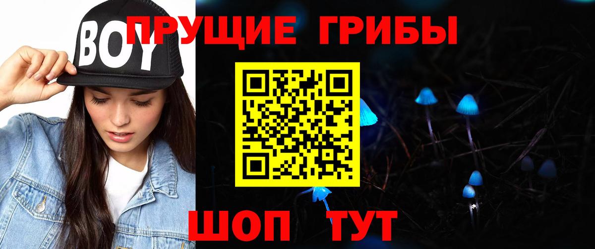 Псилоцибиновые грибы GOLDEN TEACHER Ростов-на-Дону